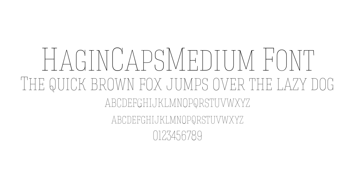HaginCapsMedium Font preview