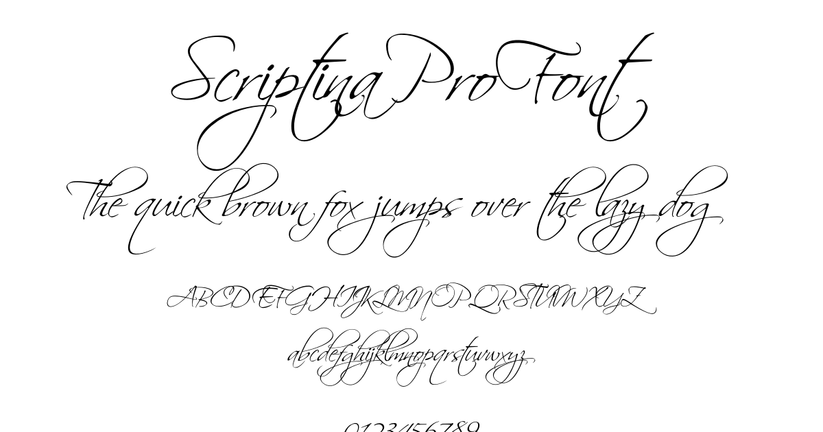 Scriptina Pro Font font preview